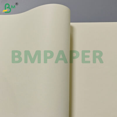 80gm Libro de color de crema Rollos de papel de 715 mm de ancho para la impresión