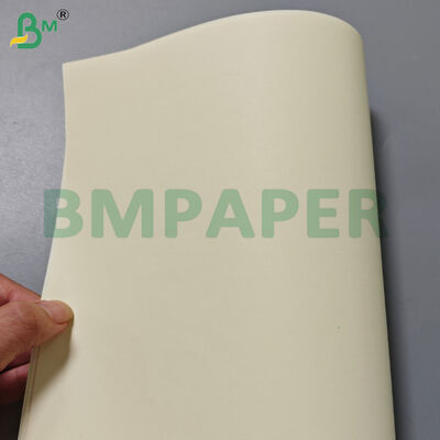 80gm Libro de color de crema Rollos de papel de 715 mm de ancho para la impresión