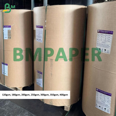 250 gramos 300 gramos Papel Kraft Blanco para colgar etiquetas Jumbo Rolls, superficie áspera