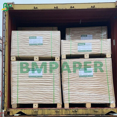 Bol de papel para alimentos apto para microondas, resistente a altas temperaturas para horno y microondas, comidas preparadas congeladas