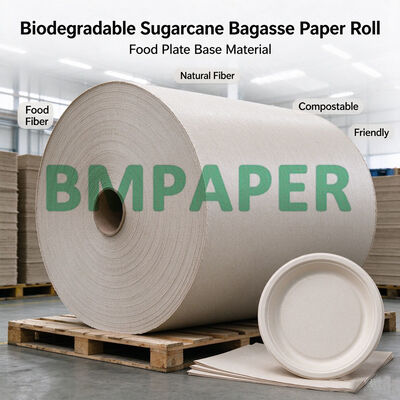 80g-300g Rollo de papel de caña de azúcar biodegradable para hacer plato de alimentos
