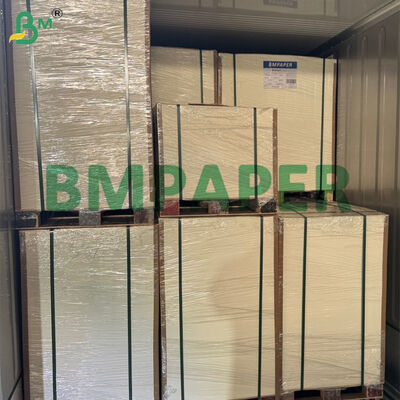 80g-300g Rollo de papel de caña de azúcar biodegradable para hacer plato de alimentos
