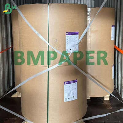 80g-300g Rollo de papel de caña de azúcar biodegradable para hacer plato de alimentos