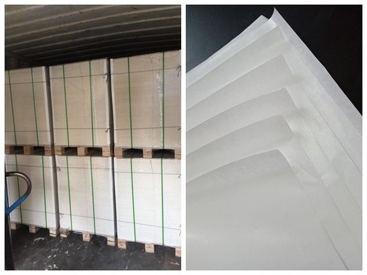 Un PE lateral cubrió el rollo del papel de categoría alimenticia para la fiambrera FSC y FDA certificado