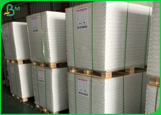 carrete brillante blanco del papel de arte del SGS de 300GSM FSC con el material natural de la pulpa del 100%