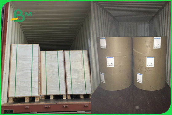 Papel revestido seguro del tablero 15g PE de la comida blanca FBB del FSC FDA para la taza que hace aduana