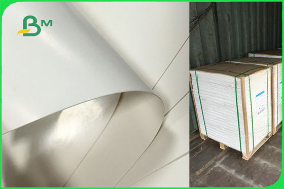 Solo papel revestido modificado para requisitos particulares del lado PE para las placas disponibles FSC aprobadas por la FDA