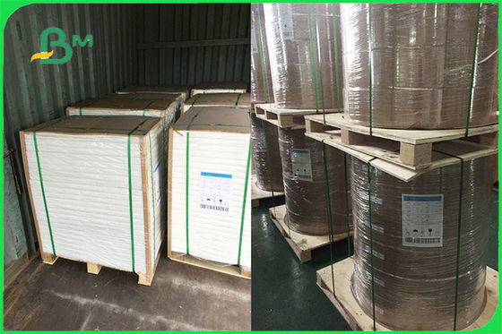 Solo papel revestido modificado para requisitos particulares del lado PE para las placas disponibles FSC aprobadas por la FDA