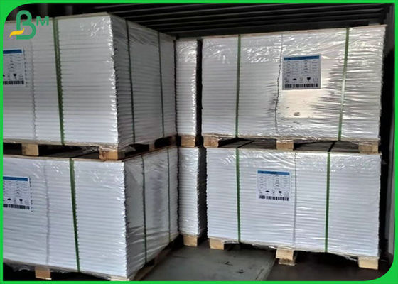 rollo blanco del papel de impresión en offset de 70lb 80lb con la certificación del FSC