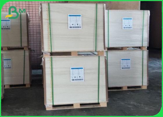 Revestimiento de PE totalmente renovable Papel de taza revestido con polietileno 210g+10g