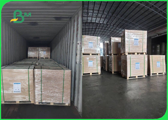 Rollo de papel aprobado FSC de Woodfree del blanco de 70g 80g para el folleto liso