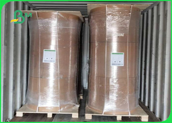 Biodegradable tablero de Kraft de la película de 300gsm + de 15g PE para el acondicionamiento de los alimentos