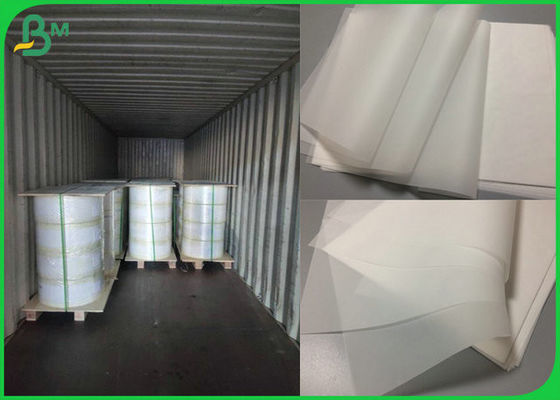 El buen carrete de papel 50gr 55gr de trazo de la absorción de la tinta con la certificación del FSC apoyó