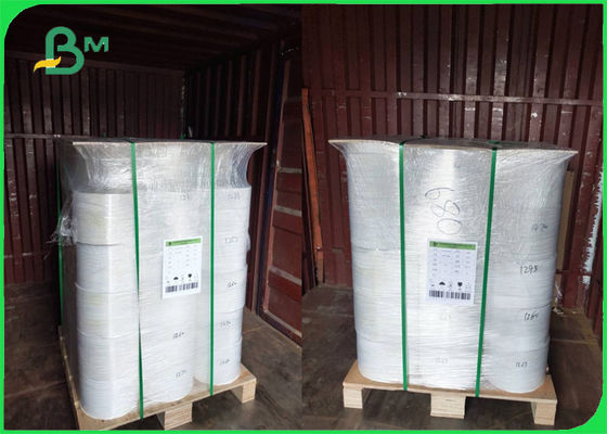 Matte Non - el sintético desgarrable del polipropileno documento los 30m por el rollo