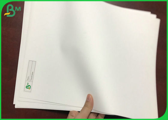 No rasgue la anchura de papel de Rolls 1090m m PP del sintético grueso del polipropileno de 100um 130um