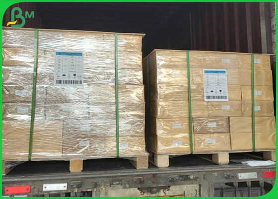 No rasgue la anchura de papel de Rolls 1090m m PP del sintético grueso del polipropileno de 100um 130um