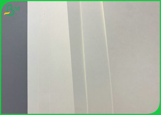 Papel sin recubrimiento imprimible de la taza del efecto 300gsm para la taza caliente de papel de la bebida