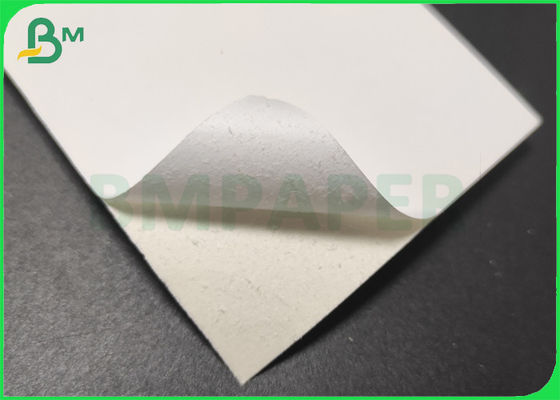 240gsm anti - cartulina del Libro Blanco del congelador un tablero revestido de la comida del lado