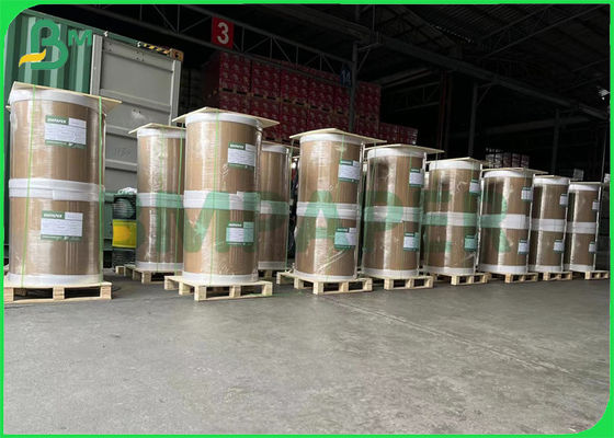 240gsm anti - cartulina del Libro Blanco del congelador un tablero revestido de la comida del lado