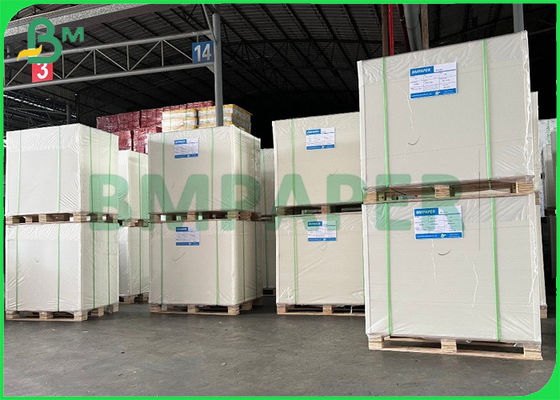 240gsm anti - cartulina del Libro Blanco del congelador un tablero revestido de la comida del lado