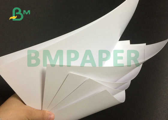 Libro Blanco superior del texto brillante revestido de doble cara de 80# 100# en la hoja 23" x 35"