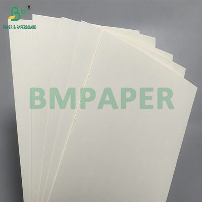 Papel biodegradable y seguro para microondas para hacer cuencos desechables para ensalada