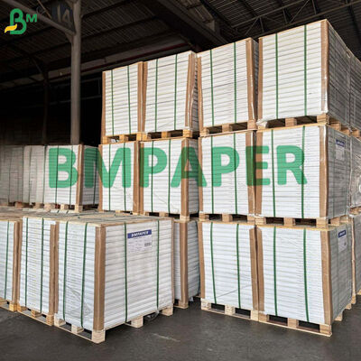 Papel C1S Brillante para el Sobre Exterior de Bolsitas de Té / Envoltorio Exterior de Saquitos de Té