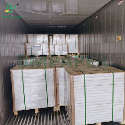 Papel para vasos recubierto de PE de 240 g/m² +15 para vasos de bebida fría de 70 x 100 cm