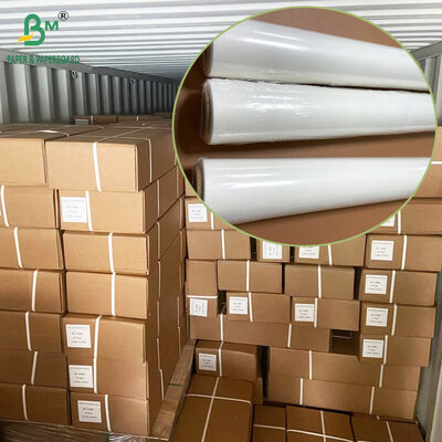 Papel de pergamino blanqueado no adhesivo rollo cortado 35 gr 38 gr 40 gr para hornear
