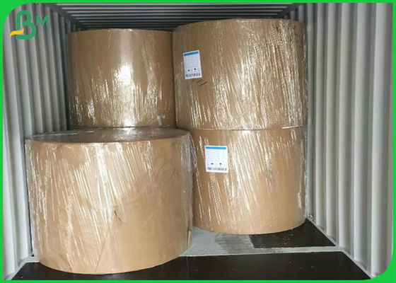 Eco - papel revestido amistoso del material 300G PE para hacer la fiambrera